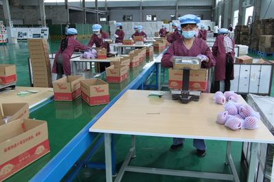 牛村 掘金農(nóng)副產(chǎn)品加工全產(chǎn)業(yè)鏈，包裝煥新助力鄉(xiāng)村振興